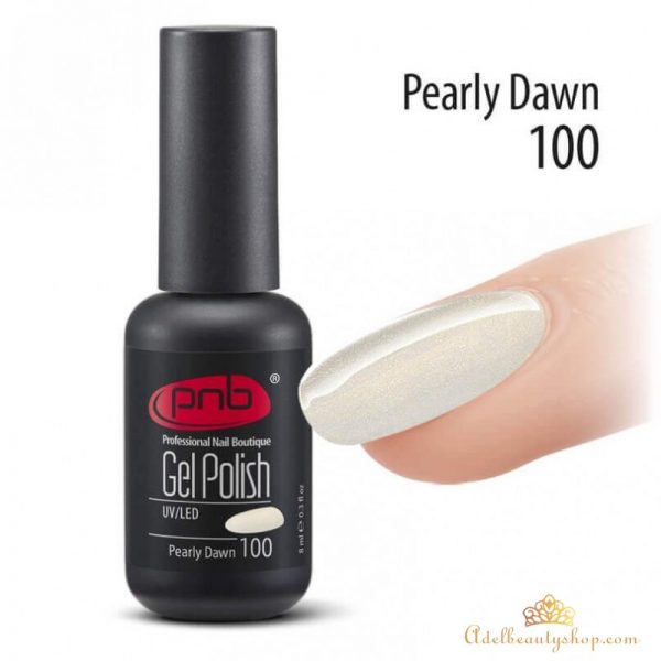 PNB Gel polish 8 ml № 100