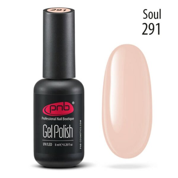PNB Гель лак 8 ml № 291