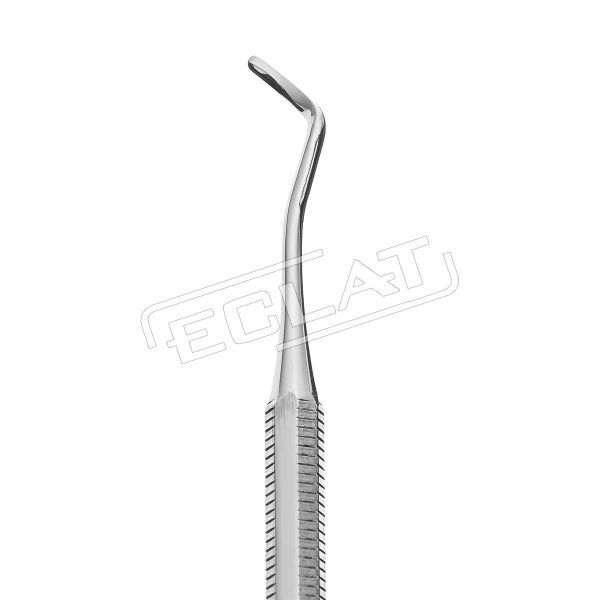 Eclat - tampon holder - טמפונדר - Image 2