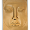 Facial model for permanent make-up masters - דגמי פנים לאימוני איפור קבוע