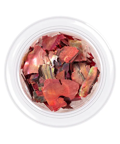 kodi - Shells style nail shell, shade pearlescent coral No. 06, 3 g - קונכיות לציפורניים אלמוג - 06