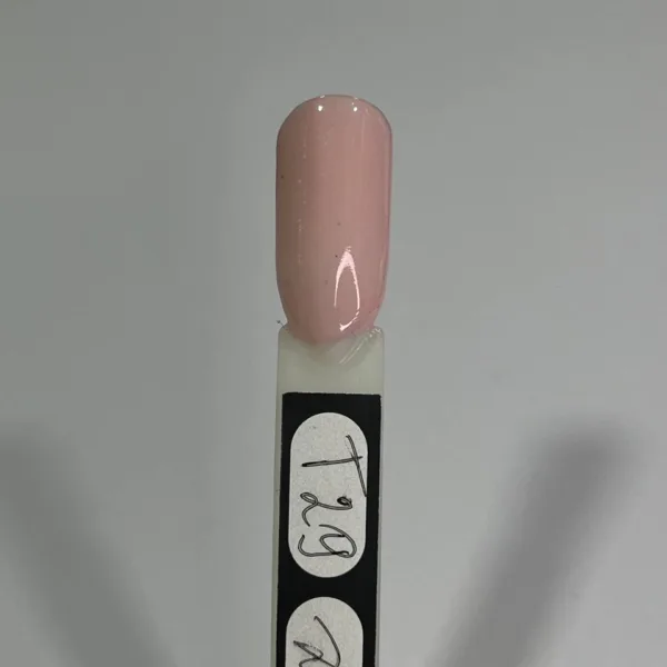 Dip system - Dip powder No. T029 Queen Nails , 10 ml - Image 2