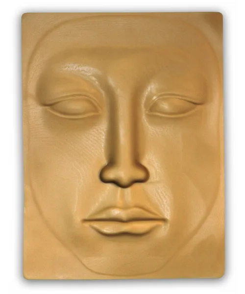 Facial model for permanent make-up masters - דגמי פנים לאימוני איפור קבוע