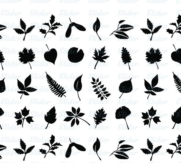 מדבקת מים A-993